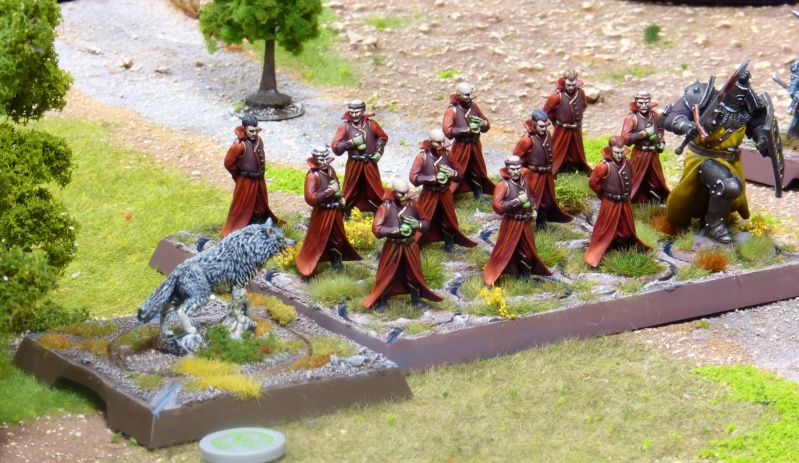 [VENDS] ASOIAF - Game of Throne - Pyromanciens 32mm P1250410