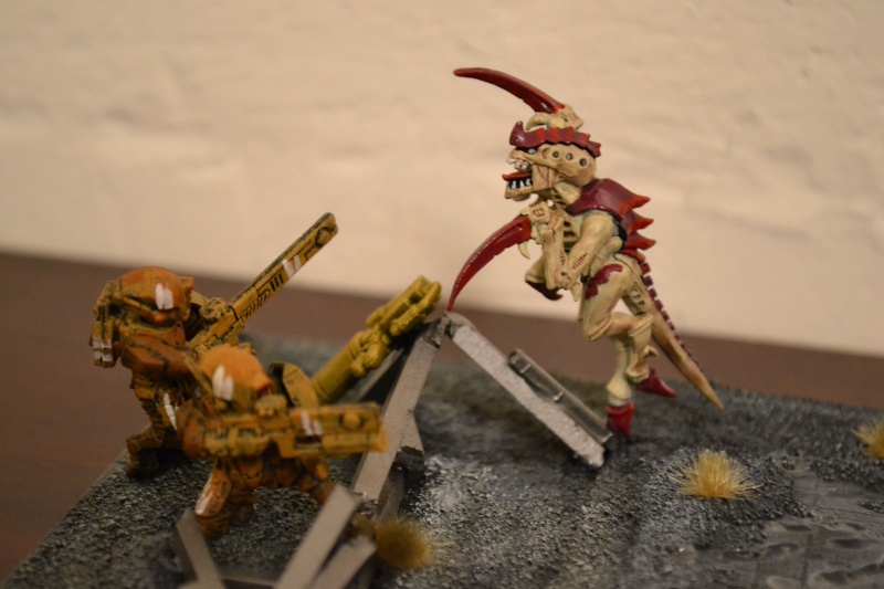 2éme diorama sur l'univers des warhammer 40000 Dsc_0638