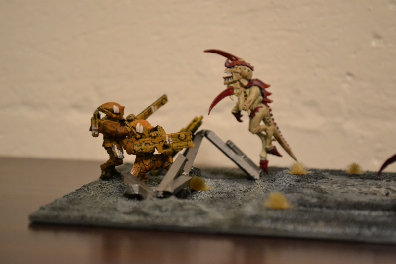 2éme diorama sur l'univers des warhammer 40000 Dsc_0640