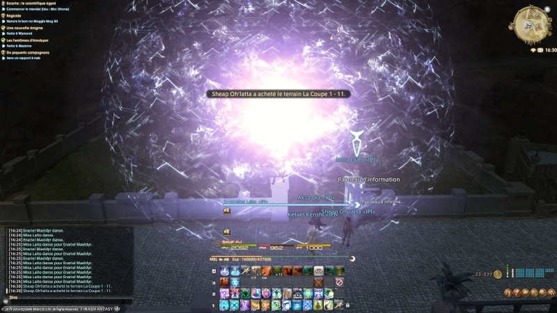 Ignotum Per Ignotus vous accueille ! Ffxiv_10