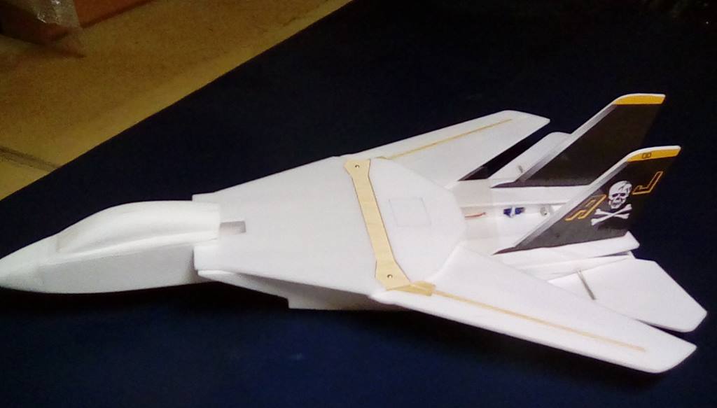 PROJETS A VENIR F-14_t10