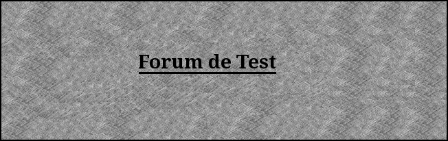 Forum de Test Rien13