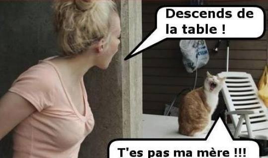 Humour en image du Forum Passion-Harley  ... - Page 16 16192310