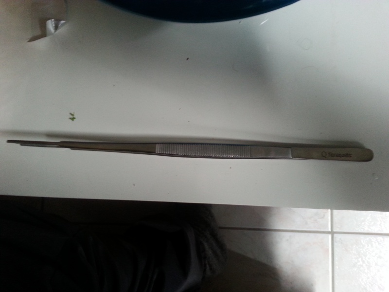 66 L Evolution du bac - Page 2 20140453