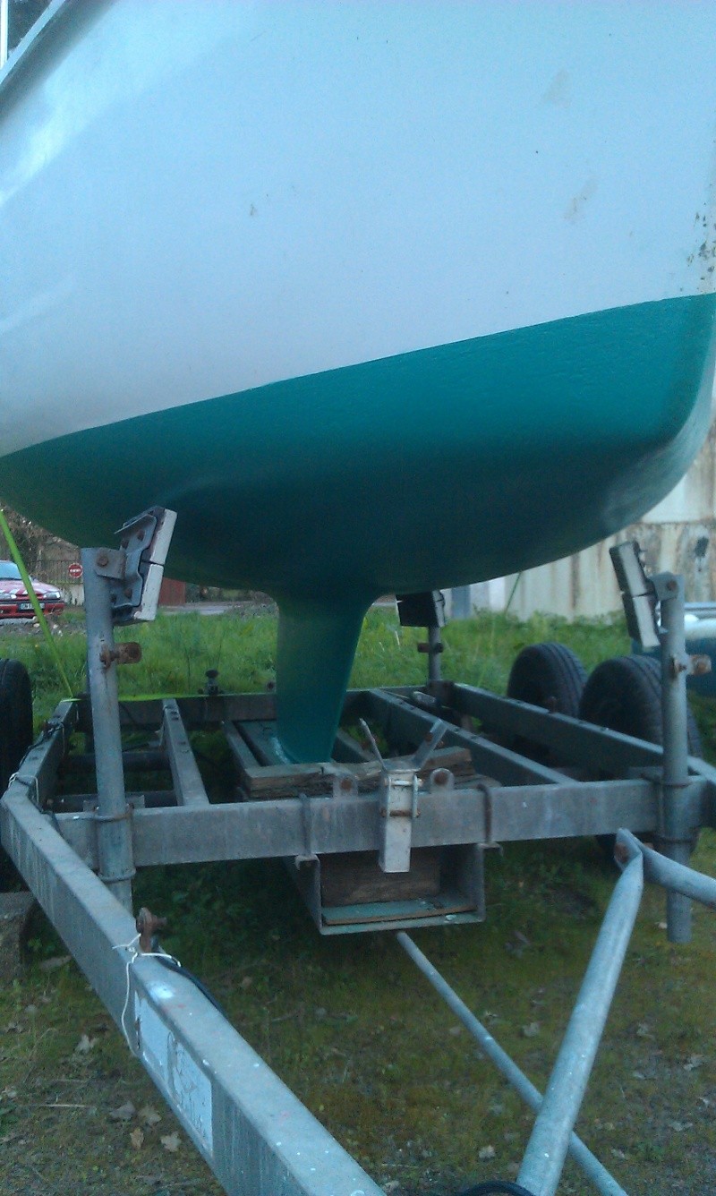 Antifouling Imag1410