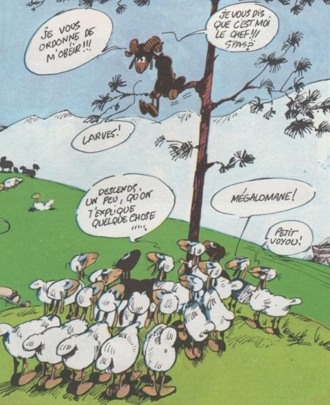 Bonjour à toutes et à tous Image_16