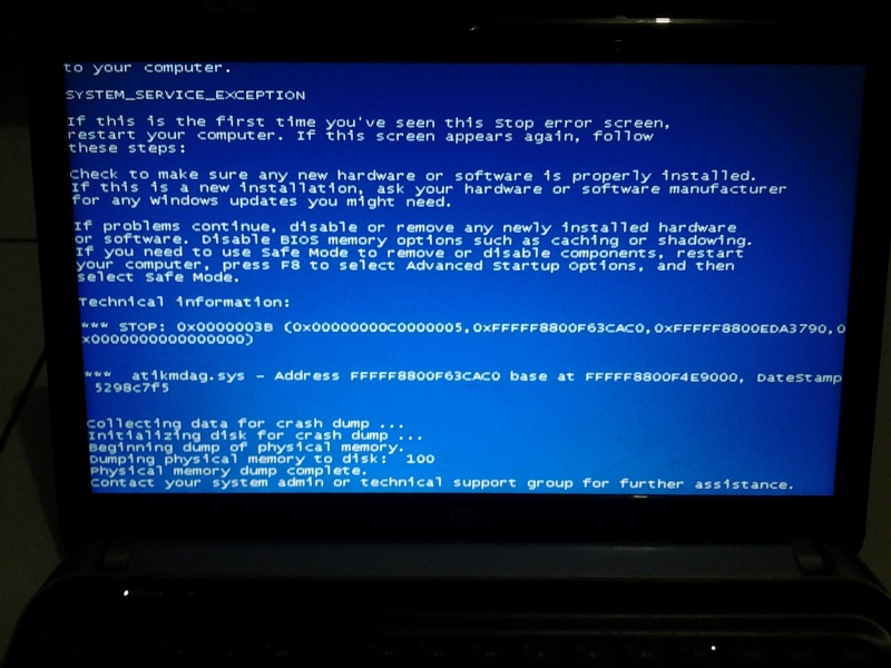 The Sims Medieval has stopped working and suddenly blue screen. [CLOSED] 20140310