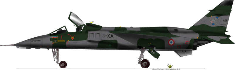 sepecat jaguar A (1/48 de kitty hawk) fini- rajout de la mise en situation Jaguar15