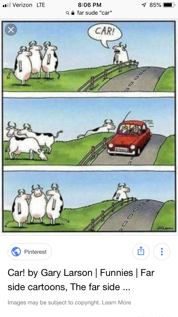 Yes!  The Far Side is coming back! C84f2310