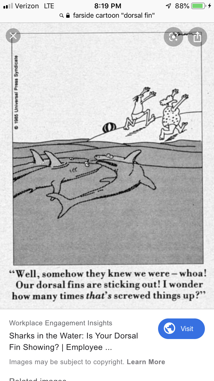 Yes!  The Far Side is coming back! Ca6c1f10