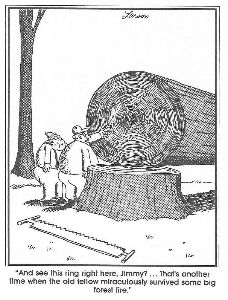 Yes!  The Far Side is coming back! Tree10