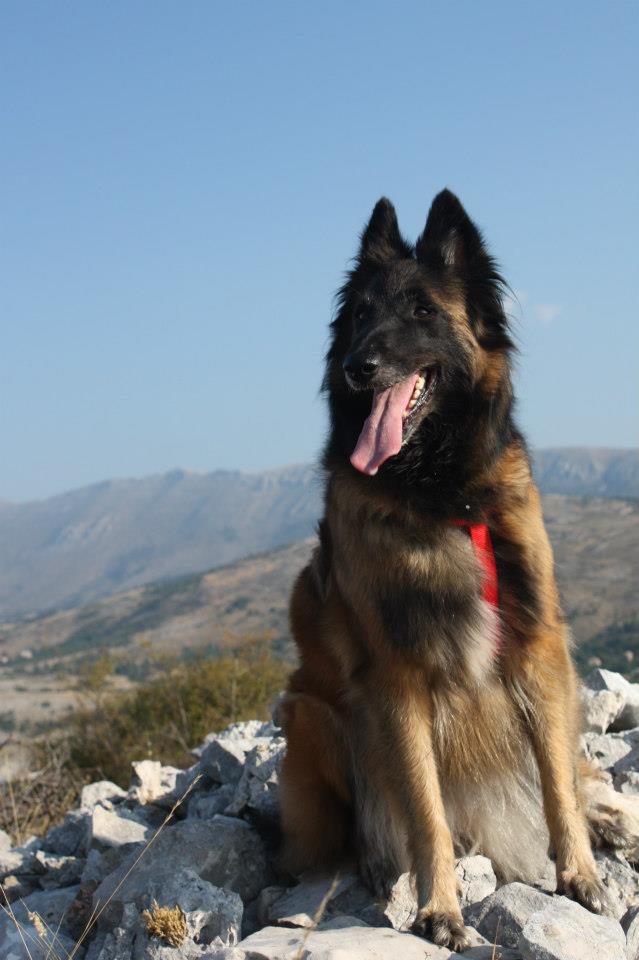 Natur Aile 40522910