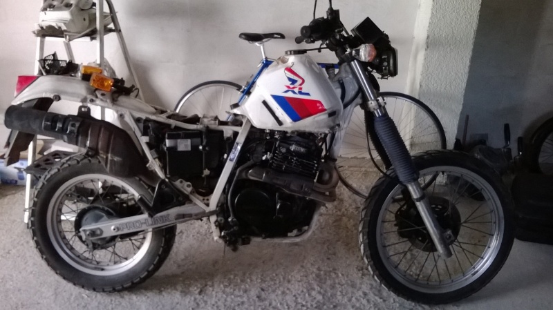 XL600RM tracker/brat Wp_20114