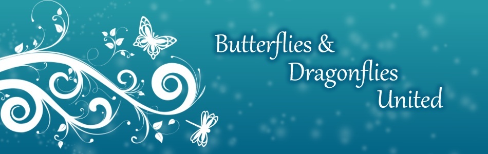 Butterflies and Dragonflies United
