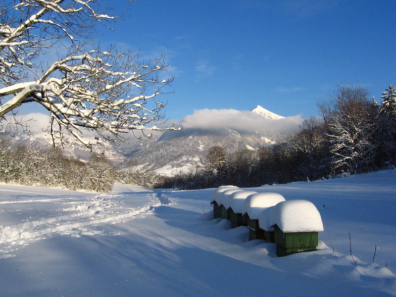 Zimski pejzaži-Winter landscapes - Page 44 35765212