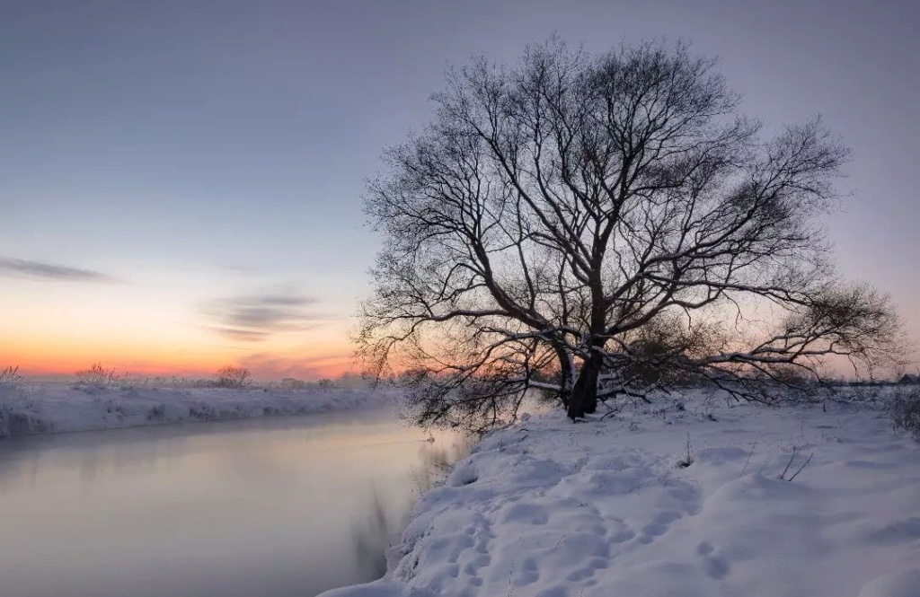 Zimski pejzaži-Winter landscapes - Page 16 42602910