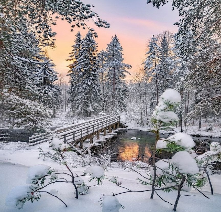Zimski pejzaži-Winter landscapes - Page 16 42771910