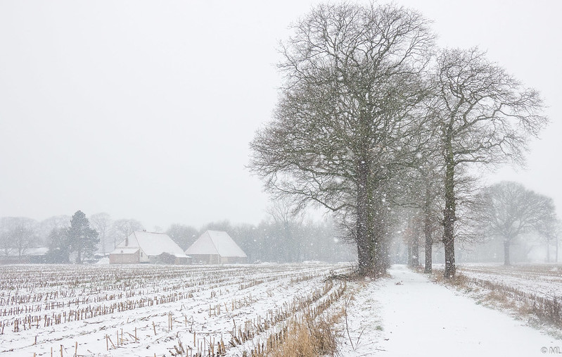 Zimski pejzaži-Winter landscapes - Page 24 46839310