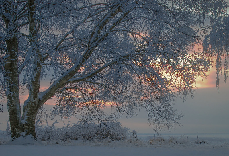 Zimski pejzaži-Winter landscapes 49396010