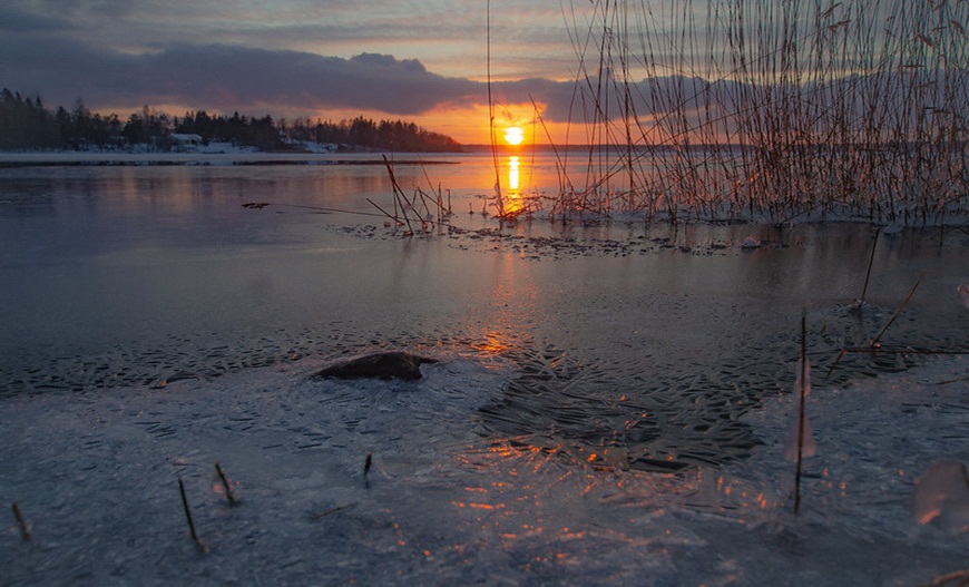 Zimski pejzaži-Winter landscapes 50653510