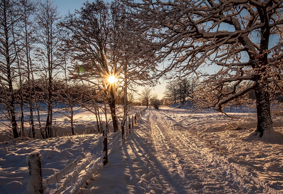 Zimski pejzaži-Winter landscapes - Page 3 50899511