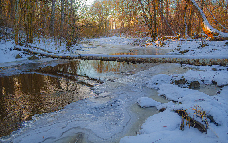 Zimski pejzaži-Winter landscapes 52595110
