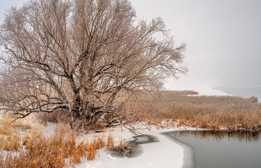 Zimski pejzaži-Winter landscapes - Page 5 52751710