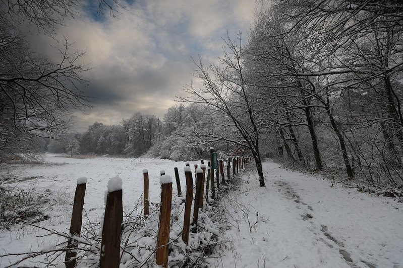 Zimski pejzaži-Winter landscapes - Page 45 52778710