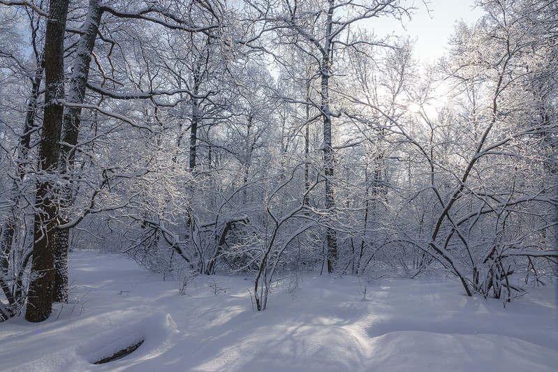 Zimski pejzaži-Winter landscapes - Page 21 53493810