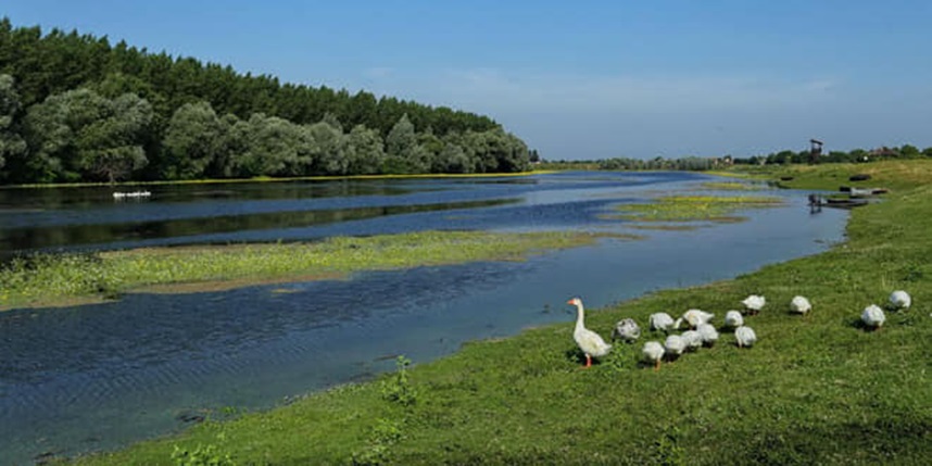 Vojvodina u slici - Page 14 94016110