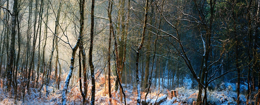 Zimski pejzaži-Winter landscapes - Page 4 Capt3233