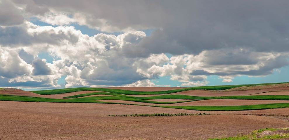 Landscape-pejzaži - Page 38 Capt3922