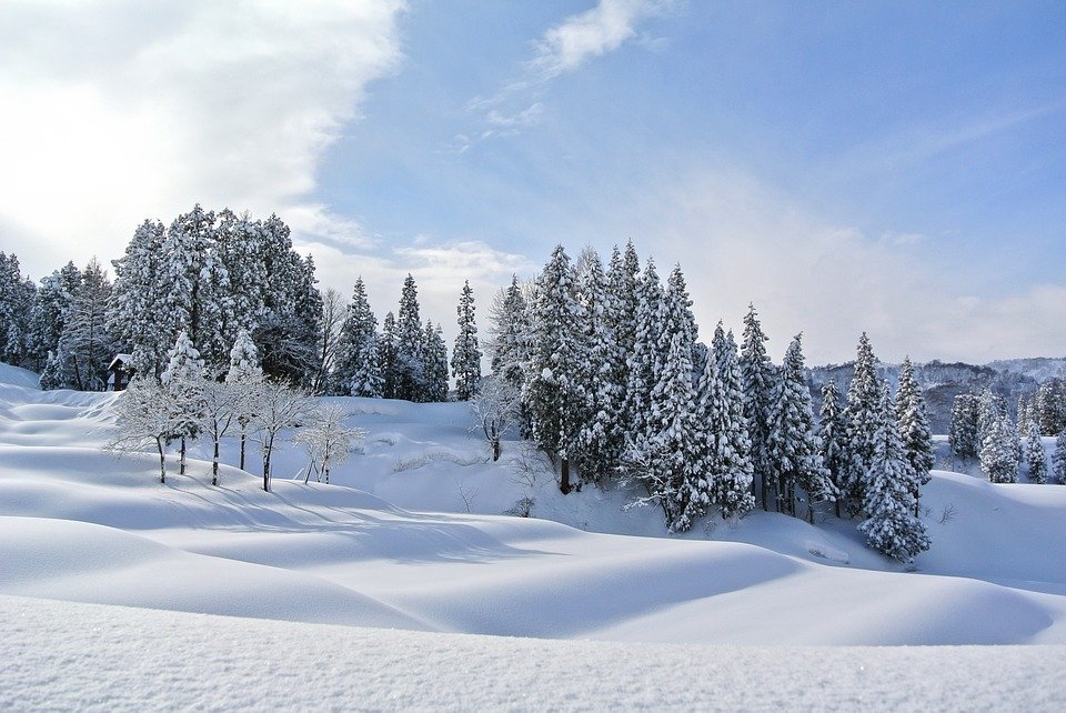Zimski pejzaži-Winter landscapes - Page 7 Eprnmy10