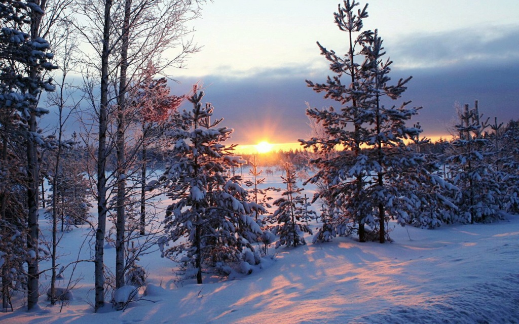 Zimski pejzaži-Winter landscapes - Page 10 Evgmm810