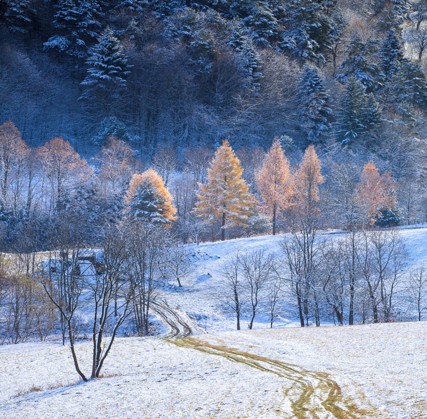 Zimski pejzaži-Winter landscapes - Page 3 Ficubk10