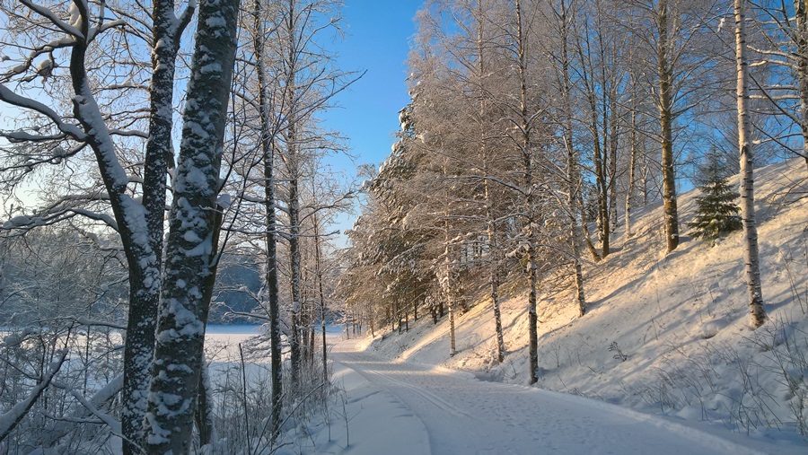Zimski pejzaži-Winter landscapes - Page 42 Fpkukk11