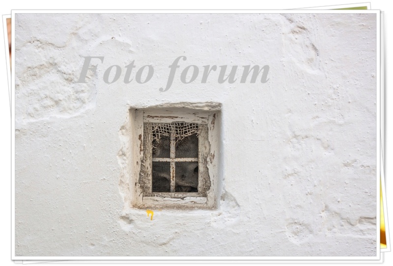 Foto-forum u slici Fulqd810