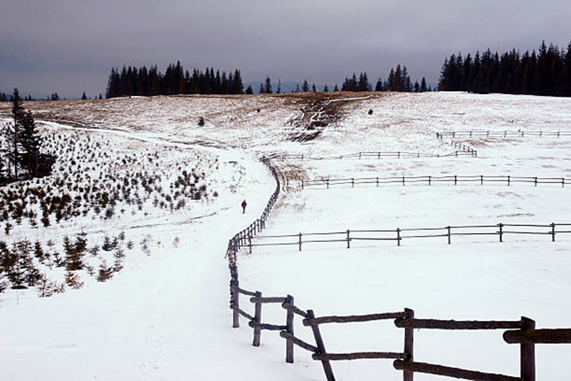 Zimski pejzaži-Winter landscapes - Page 41 Istock76