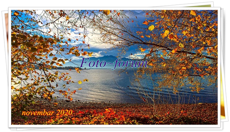 Foto-forum