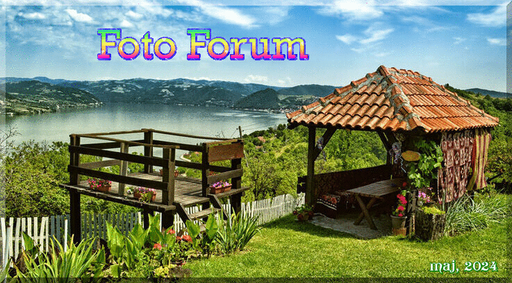 Foto-forum