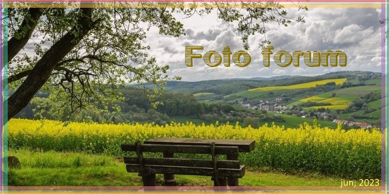 Foto-forum