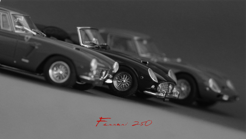 Ferrari 250 GTO - Fujimi 1/24 - Page 3 Img_9924