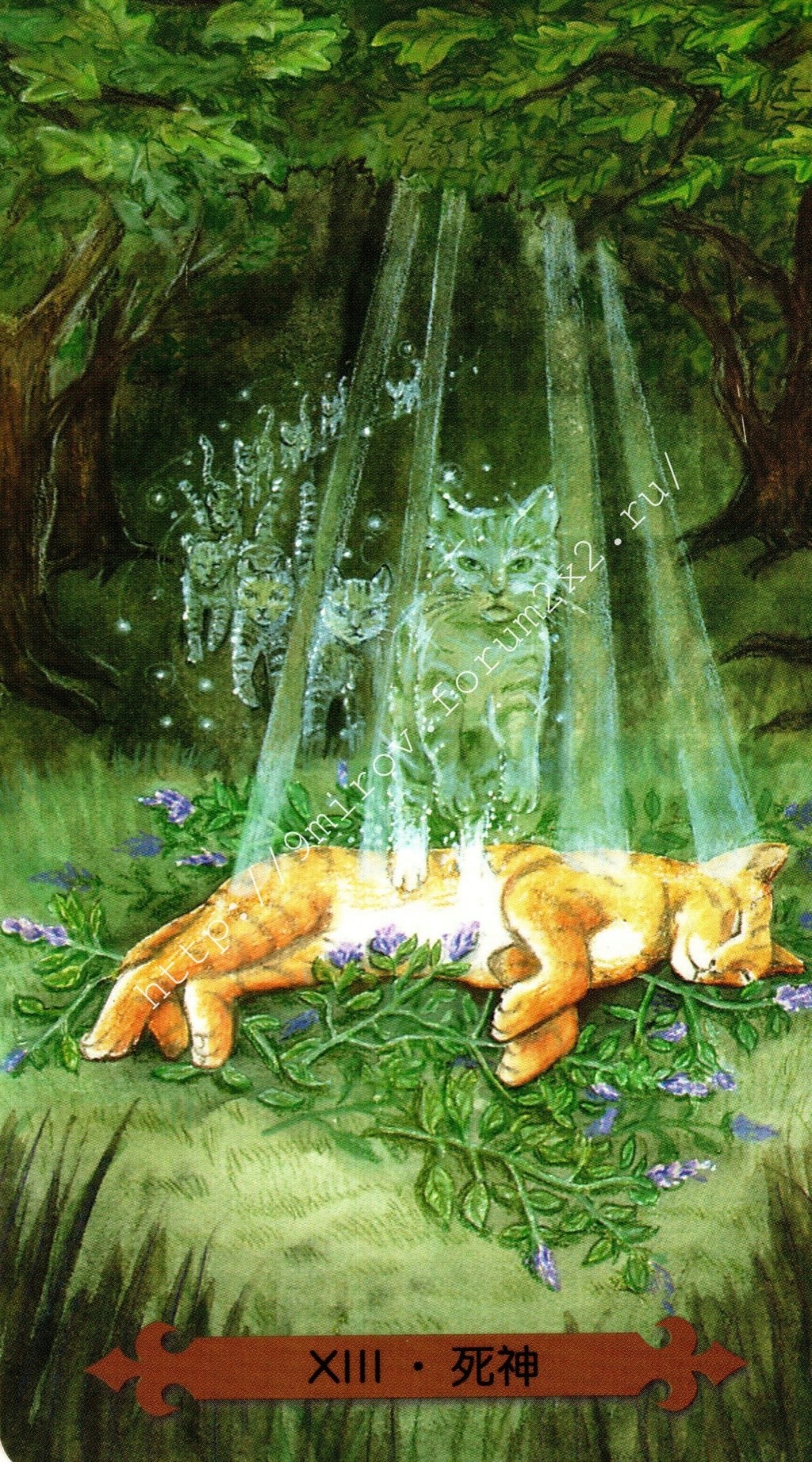 Таро мистических кошек. Галерея. (китайская версия) Water112