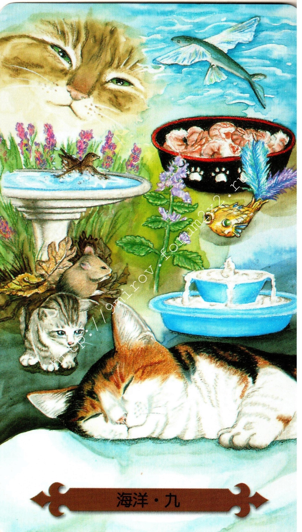 Таро мистических кошек. Галерея. (китайская версия) Water154