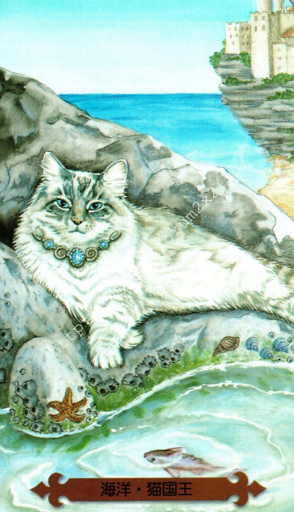 Таро мистических кошек. Галерея. (китайская версия) Water158