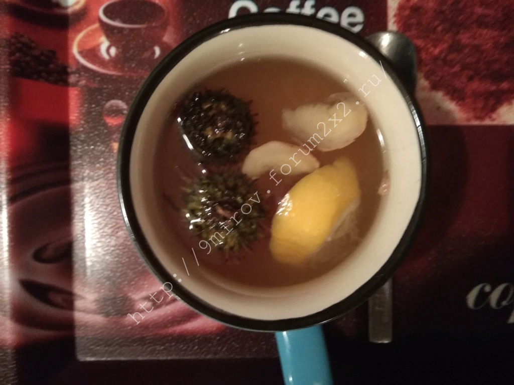 Чай для лечения простуды с эхинацеей, имбирем, медом и лимоном.  Waterm97