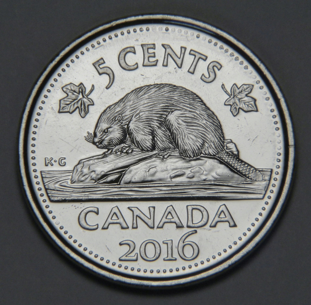 2016 - Coin Obturé, queue du castor aplatie (Filled Die) P1300017