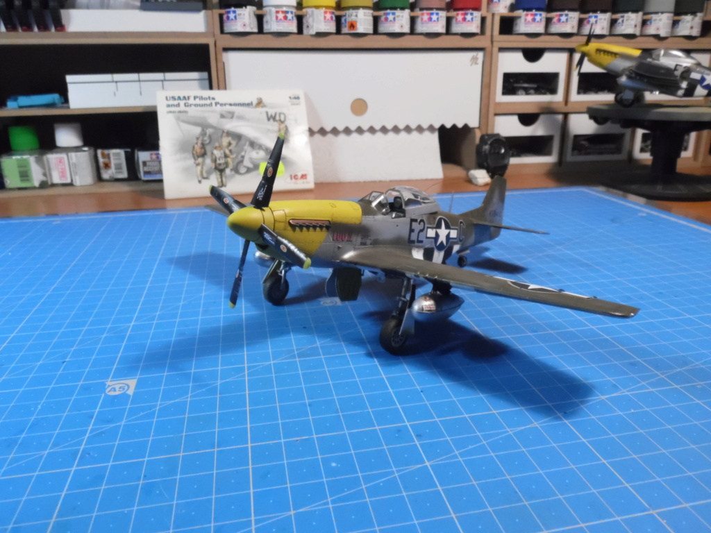 p 51  tamiya Sam_1518