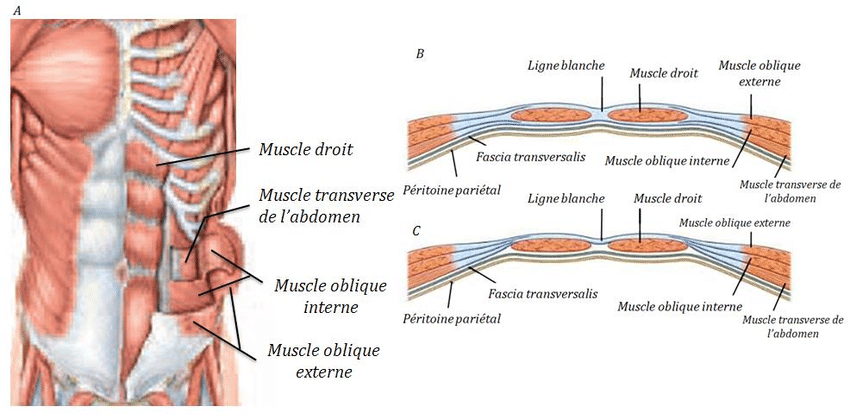 TK1 questions A-musc10