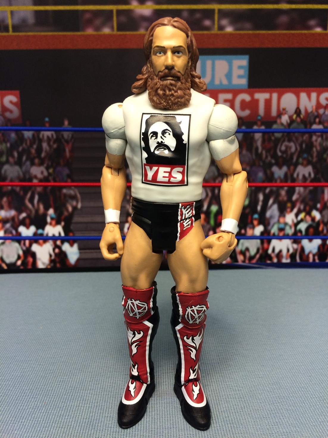 Daniel Bryan (36) Tr402